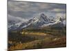 Mears Peak with Snow and Yellow Aspens in the Fall-James Hager-Mounted Photographic Print