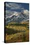 Mears Peak with Snow and Yellow Aspens in the Fall-James Hager-Stretched Canvas