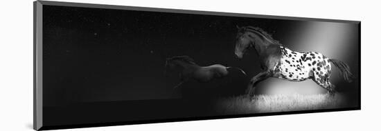 Meas - Appaloosa Illumination-Rosa Mesa-Mounted Art Print