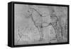 'Measured Drawing of a Horse in Profile to the Left', c1480 (1945)-Leonardo Da Vinci-Framed Stretched Canvas