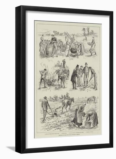 Measures to Check the Potato Disease in Ireland-null-Framed Giclee Print