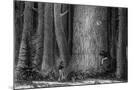 Wood Mount