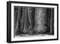 Black Frame