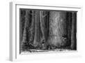 White Frame