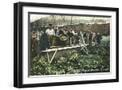 Black Frame