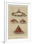 Meat and Seafood Dishes-null-Framed Giclee Print