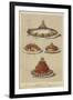 Meat and Seafood Dishes-null-Framed Giclee Print