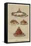 Meat and Seafood Dishes-null-Framed Stretched Canvas