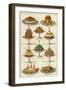 Meat and Seafood Dishes-null-Framed Giclee Print