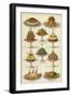 Meat and Seafood Dishes-null-Framed Giclee Print