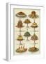 Meat and Seafood Dishes-null-Framed Giclee Print