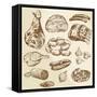 Meat - Hand Drawn Collection-canicula-Framed Stretched Canvas