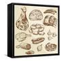 Meat - Hand Drawn Collection-canicula-Framed Stretched Canvas