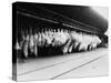 Meat in Storage, World War I-Robert Hunt-Stretched Canvas