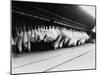 Meat in Storage, World War I-Robert Hunt-Mounted Photographic Print