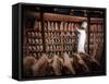 Meat Industry in the USA, Rib Roasts on Shelves and Butcher Making a Selection or Choice-Ralph Crane-Framed Stretched Canvas