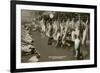 Meat Packing Plant-null-Framed Premium Giclee Print