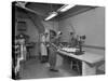 Meat Pie Production, Rawmarsh, South Yorkshire, 1959-Michael Walters-Stretched Canvas