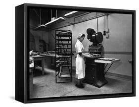 Meat Pie Production, Rawmarsh, South Yorkshire, 1959-Michael Walters-Framed Stretched Canvas