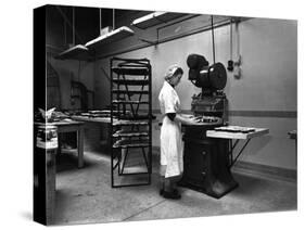 Meat Pie Production, Rawmarsh, South Yorkshire, 1959-Michael Walters-Stretched Canvas