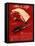 Meat, USA, 1940-null-Framed Stretched Canvas