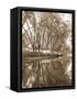 Mecan River 2-Thea Schrack-Framed Stretched Canvas