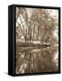 Mecan River 2-Thea Schrack-Framed Stretched Canvas