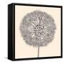 Mechanical Dandelion.-RYGER-Framed Stretched Canvas