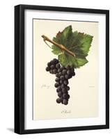 Mecle Grape-J. Troncy-Framed Giclee Print