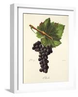 Mecle Grape-J. Troncy-Framed Giclee Print