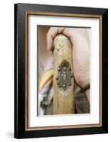 Medallion on a walking stick, Ars-sur-Formans, Ain, France-Godong-Framed Photographic Print