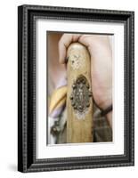 Medallion on a walking stick, Ars-sur-Formans, Ain, France-Godong-Framed Photographic Print