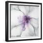 Medallion Orchid-Jason Jarava-Framed Giclee Print