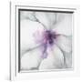 Medallion Orchid-Jason Jarava-Framed Giclee Print