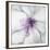 Medallion Orchid-Jason Jarava-Framed Giclee Print