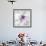 Medallion Orchid-Jason Jarava-Framed Giclee Print displayed on a wall