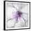 Medallion Orchid-Jason Jarava-Framed Giclee Print