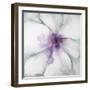 Medallion Orchid-Jason Jarava-Framed Giclee Print