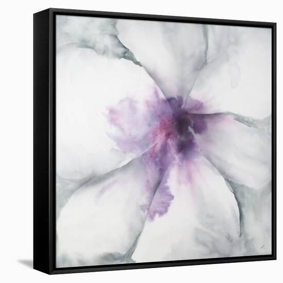 Medallion Orchid-Jason Jarava-Framed Stretched Canvas