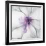 Medallion Orchid-Jason Jarava-Framed Giclee Print