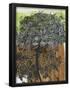 Essential Black
