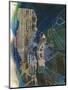 Wood Mount