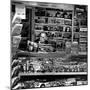 Media Collection-Didier Guibert-Mounted Photographic Print