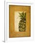 Media Piña I-Patricia Pinto-Framed Art Print