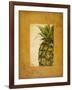 Media Piña I-Patricia Pinto-Framed Art Print