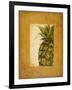 Media Piña I-Patricia Pinto-Framed Art Print