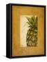 Media Piña I-Patricia Pinto-Framed Stretched Canvas