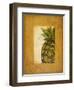 Media Piña I-Patricia Pinto-Framed Art Print