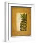 Media Piña I-Patricia Pinto-Framed Art Print