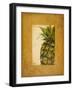 Media Piña I-Patricia Pinto-Framed Art Print